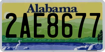 AL license plate 2AE8677