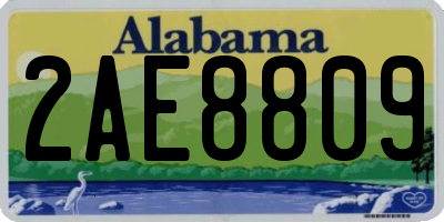 AL license plate 2AE8809