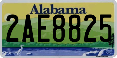 AL license plate 2AE8825