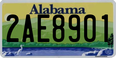 AL license plate 2AE8901