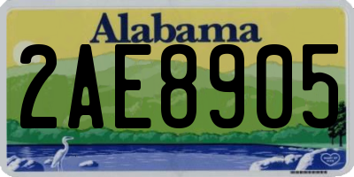 AL license plate 2AE8905
