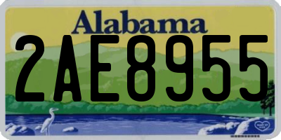 AL license plate 2AE8955