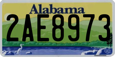 AL license plate 2AE8973