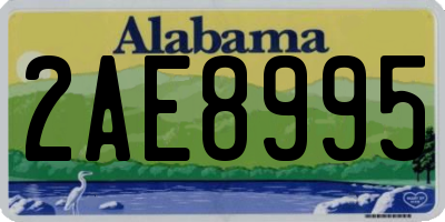 AL license plate 2AE8995