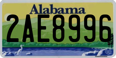 AL license plate 2AE8996