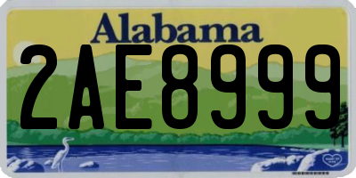 AL license plate 2AE8999