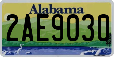 AL license plate 2AE9030