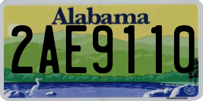 AL license plate 2AE9110