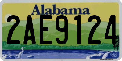 AL license plate 2AE9124