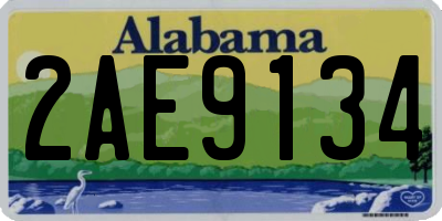 AL license plate 2AE9134