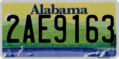 AL license plate 2AE9163