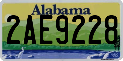 AL license plate 2AE9228