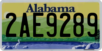 AL license plate 2AE9289