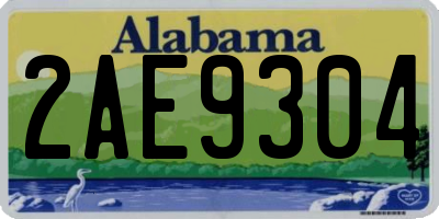 AL license plate 2AE9304
