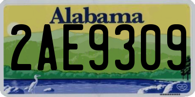 AL license plate 2AE9309