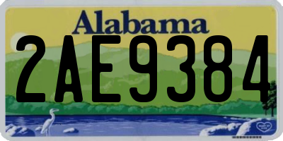 AL license plate 2AE9384