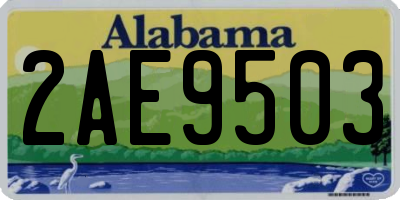 AL license plate 2AE9503