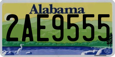 AL license plate 2AE9555