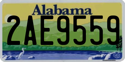 AL license plate 2AE9559