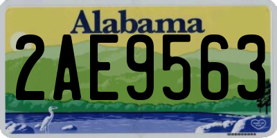AL license plate 2AE9563