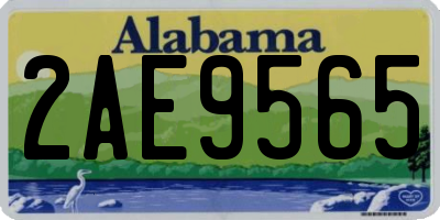 AL license plate 2AE9565