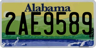 AL license plate 2AE9589