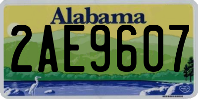 AL license plate 2AE9607