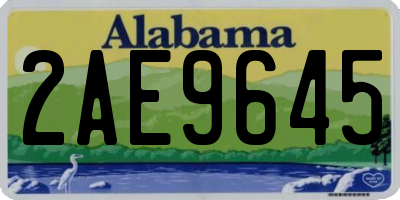 AL license plate 2AE9645