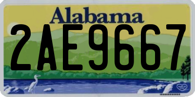 AL license plate 2AE9667