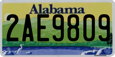 AL license plate 2AE9809