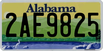 AL license plate 2AE9825