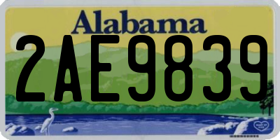 AL license plate 2AE9839