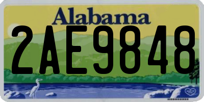 AL license plate 2AE9848