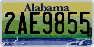 AL license plate 2AE9855