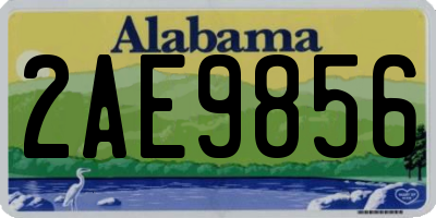 AL license plate 2AE9856