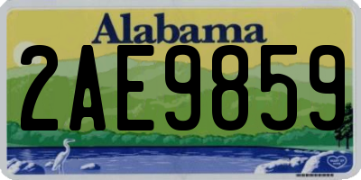 AL license plate 2AE9859