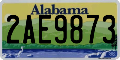 AL license plate 2AE9873