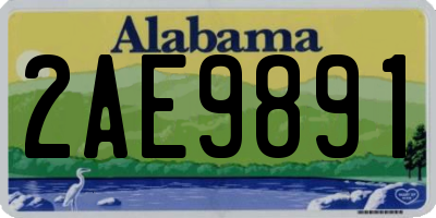 AL license plate 2AE9891
