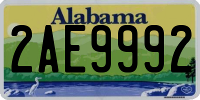 AL license plate 2AE9992