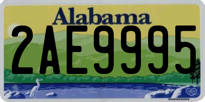 AL license plate 2AE9995