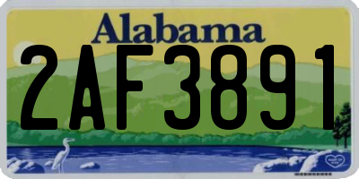 AL license plate 2AF3891