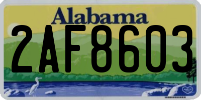 AL license plate 2AF8603
