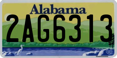 AL license plate 2AG6313