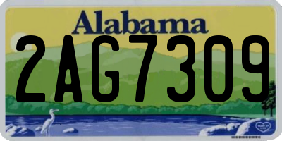 AL license plate 2AG7309