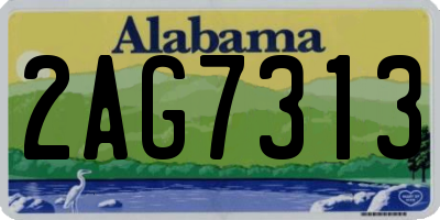 AL license plate 2AG7313