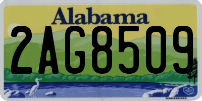 AL license plate 2AG8509