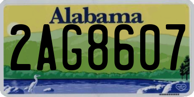AL license plate 2AG8607