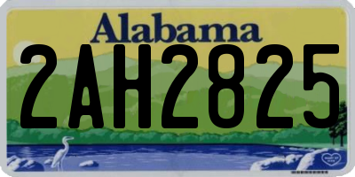 AL license plate 2AH2825