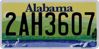AL license plate 2AH3607