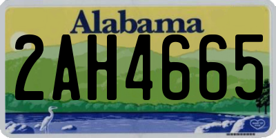AL license plate 2AH4665